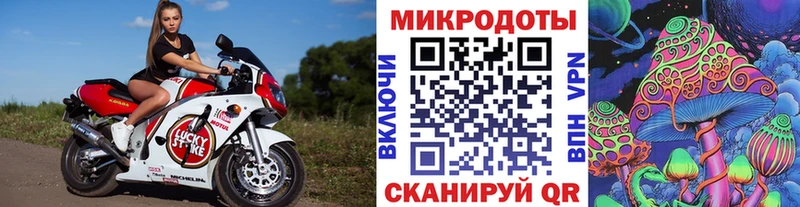 Псилоцибиновые грибы мицелий  Злынка 
